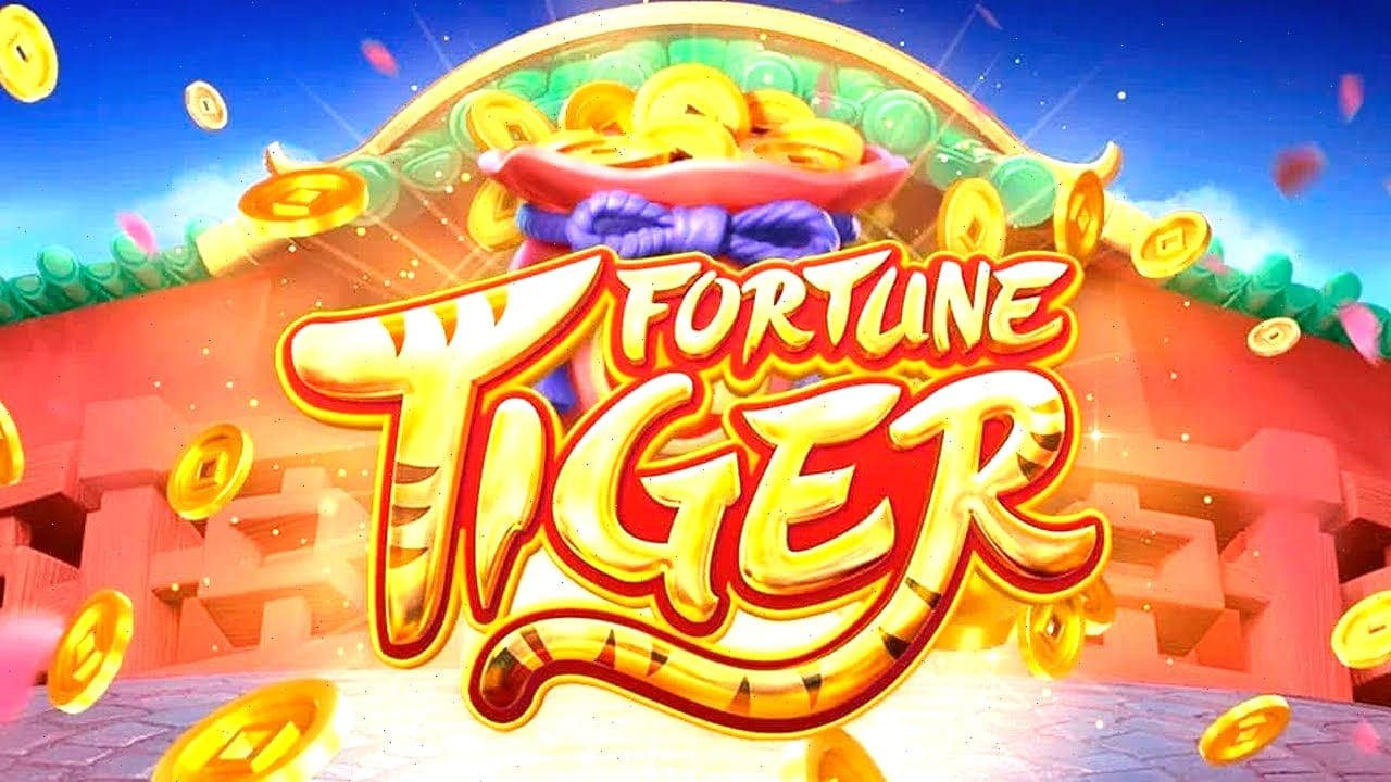 Bangladesh cricket browsing guide on 777bd casino for adult sports fans